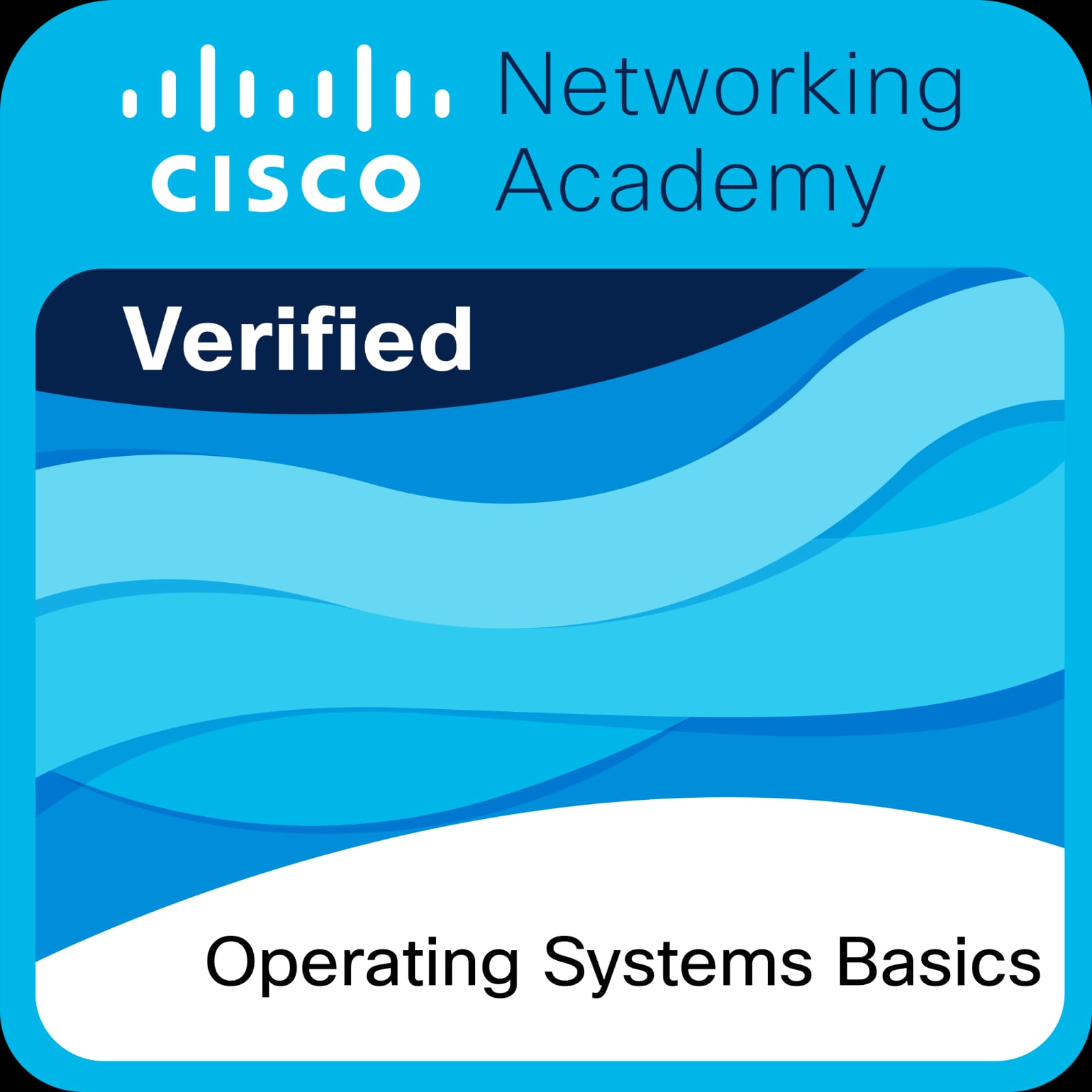 Operating Systems Basics